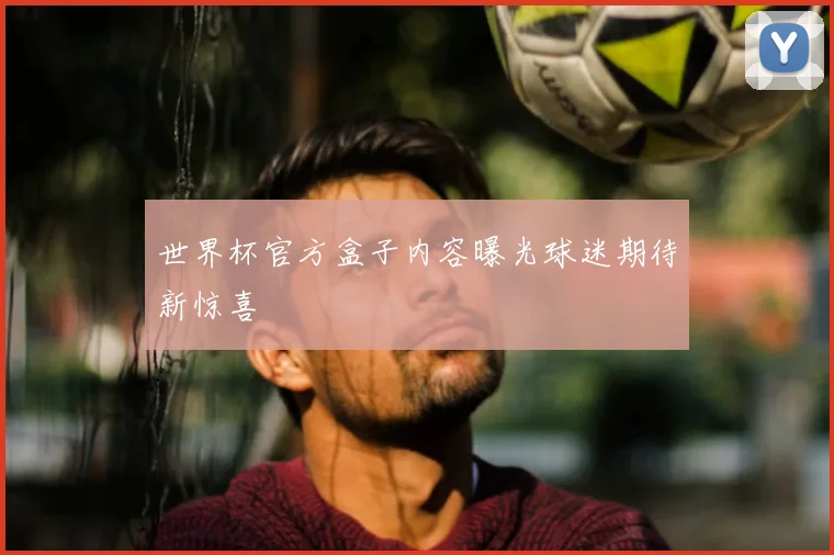世界杯官方盒子内容曝光球迷期待新惊喜